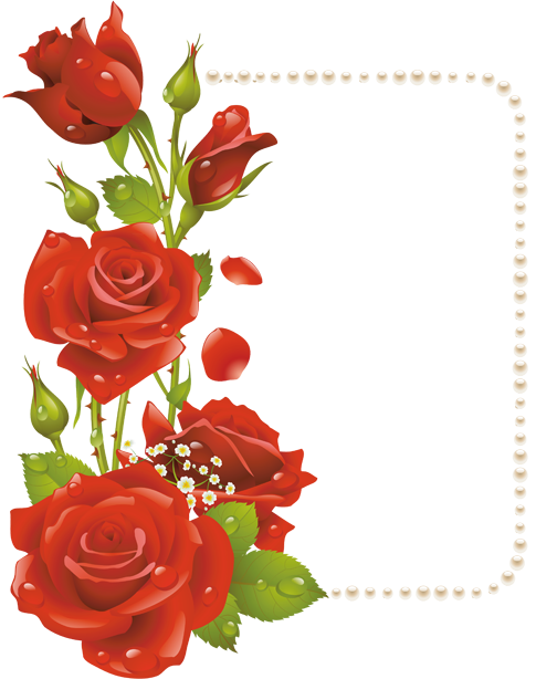 ...اجمل اطارات لولو مع الورود المفرغه تحميل مباشر... مجتمع رجيم