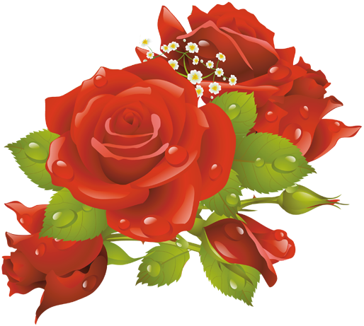 ...اجمل اطارات لولو مع الورود المفرغه تحميل مباشر... مجتمع رجيم
