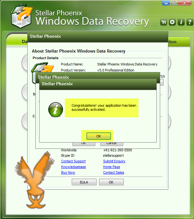 stellar phoenix windows data recovery pro 6