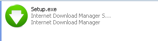 Internet Download Manager 2014 456947.png